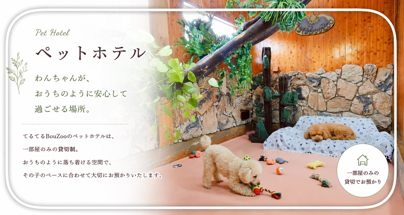 ペットホテル